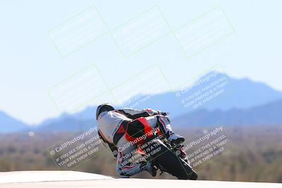 media/Jan-13-2025-Ducati Revs (Mon) [[8d64cb47d9]]/2-A Group/Session 3 Turn 9 Backside/